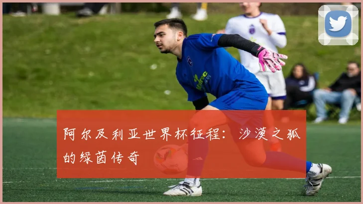 阿尔及利亚世界杯征程：沙漠之狐的绿茵传奇