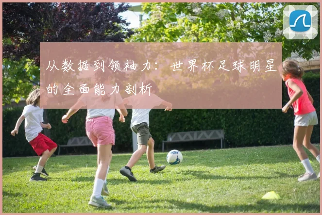 从数据到领袖力：世界杯足球明星的全面能力剖析